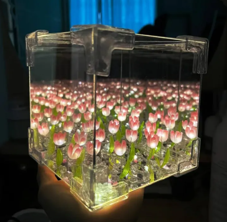 Tulip Transparent LED Lamp